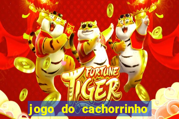 jogo do cachorrinho que ganha dinheiro